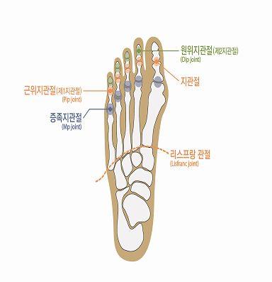 흉복부장기또는비뇨생식기기능에약간의장해를남긴때 지급률 100 75 50 30 15 나. 장해의판정기준 1) 심장기능을잃었을때 라함은심장이식을한경우를말한다.