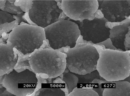 Figure 5. XRD spectraum of SiC coated C/C composites. 3.3. 연료비 (O/F) 에따른삭마특성분석 Figure 7은 O/F비가 1.