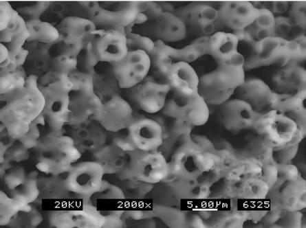 87; profiled of carbon fiber by chemical ablation ( 1500), boiled surface of converted SiO 2 from SiC layer ( 2000). 분의 SEM 사진이다.