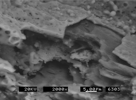 SEM photographs of the nozzle throat after combustion test at O/F ratio 3.