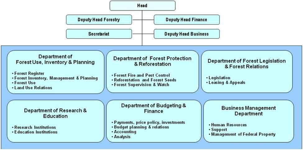 연방산림청의조직적구조는산림법에명시된연방본부의기능에부합하도록만들어졌다. 연방산림청은 7개의지방산림청이있으며, 각연방지역에하나씩있고, 산림조사와평가단위를포함한다.