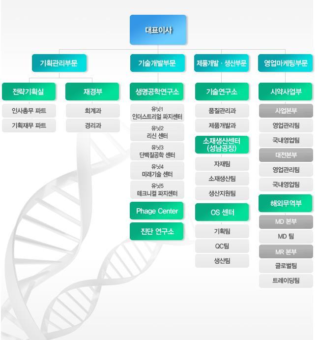 회사조직구성현황