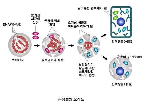 대단원 3.