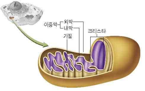 대단원 3.