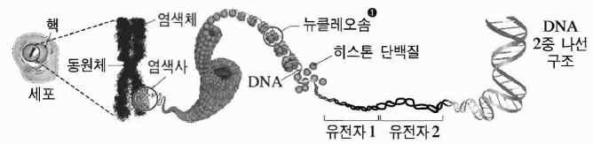 대단원 3.