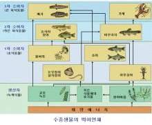 대단원 5. 인류의건강과과학기술 학습자 : 2 학년 ( ) 반 ( ) 번이름 ( ) 소단원 1. 식량자원 ( 질소비료, 식품안전, 생태계와생물다양성 ) 날짜 : 2017... (1) 생태계 : 한지역의생물적요인과비생물적요인 가. 질소는원자와원자사이에강한이중결합을하고있어매우안정, 이결합을끊기위해많은에너지필요나.