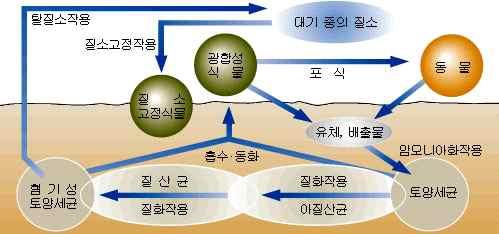 대단원 5. 인류의건강과과학기술학습자 : 2 학년 ( ) 반 ( ) 번이름 ( ) 소단원 1. 식량자원 ( 문제풀이 ) 날짜 : 2017... ********** 형성평가문제 ********** 1. 유전공학기술을이용한육종에대한설명으로옳은것은? 1 교배를통해새로운유전자를도입한다. 2 같은속에속한종만유전자도입이가능하다.