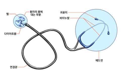 대단원 5. 인류의건강과과학기술학습자 : 2 학년 ( ) 반 ( ) 번이름 ( ) 소단원 3. 첨단과학과질병치료 ( 질병검사의종류, 물리적진단장비 ) 날짜 : 2017... 1.