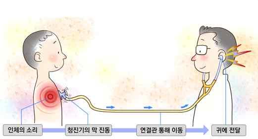 청진기 : 심장박동음, 호흡소리, 장에서발생하는소리등몸속에서나는소리를통해몸의이상여부를진단하는장비 (3) 초음파검사기가.