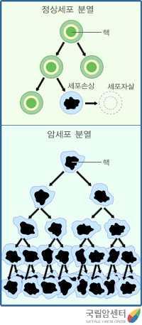 대단원 5. 인류의건강과과학기술학습자 : 2 학년 ( ) 반 ( ) 번이름 ( ) 소단원 3. 첨단과학과질병치료 ( 화학적진단방법, 암의발생, 임상시험 ) 날짜 : 2017... 3. 화학적진단방법 (1) 혈액검사 : 혈액을채혈하여물리, 화학적분석방법을통해질환, 백혈병, 당뇨등각종질병의발생여부를확인하는검사법 (2) 소변검사 : 소변을채취하여염색, ph 측정, 당측정등의방법을이용하여질병의유무를판단 4.