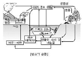 광합성을통해생물권에유기물의형태로고정되었다가석탄이나석회암이되어암권으로이동 수권의탄소는화학적으로침전되거나, 생물체에흡수되어석회암을형성하면서암권으로이동하고, 기체교환을통해기권으로이동 생물권의탄소는지층속에서석탄이나석유등의연료가되면서암권으로이동하고, 호흡이나부패를통해기권으로이동 암권의탄소는화석연료의연소, 화산활동등을통해기권으로이동하고, 물에용해되어수권으로이동 4.