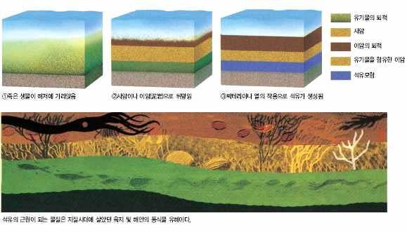 분별증류과정을거쳐 LPG, 휘발유, 등유, 경유, 아스팔트로분류하여이용 연료용 : 직접연소, 다른에너지로전환 석유화학제품용 : 아스팔트, 플라스틱, 화학섬유등의원료 석유는중동지역과북미일부지역등일부지역에편중되어있으며현재소비를기준으로했을때약 50년동안사용할수있는매장량추정 나.