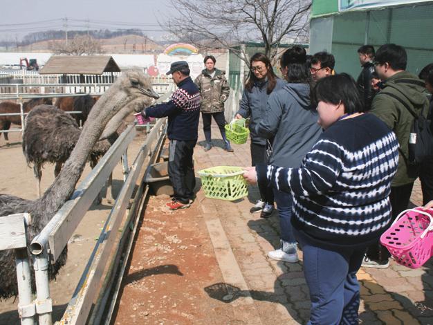 고양시에서 주체 하는 꽃 박람회를 다녀온 뒤 지역 맘 카페가 타조농장에는 타조 이외에도 염소, 말, 토끼 등 다양한 동물들이 많았습니 주관하는 일밤마켓을 이용하였습니다. 예쁜 꽃도 구경하고 다.