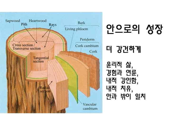 이관점에서보면, 지금의훈련단체들은훈련의초점에있어서아래와같은특징을보인다. 1) 밑으로, 안으로의성장에집중하고있었다.