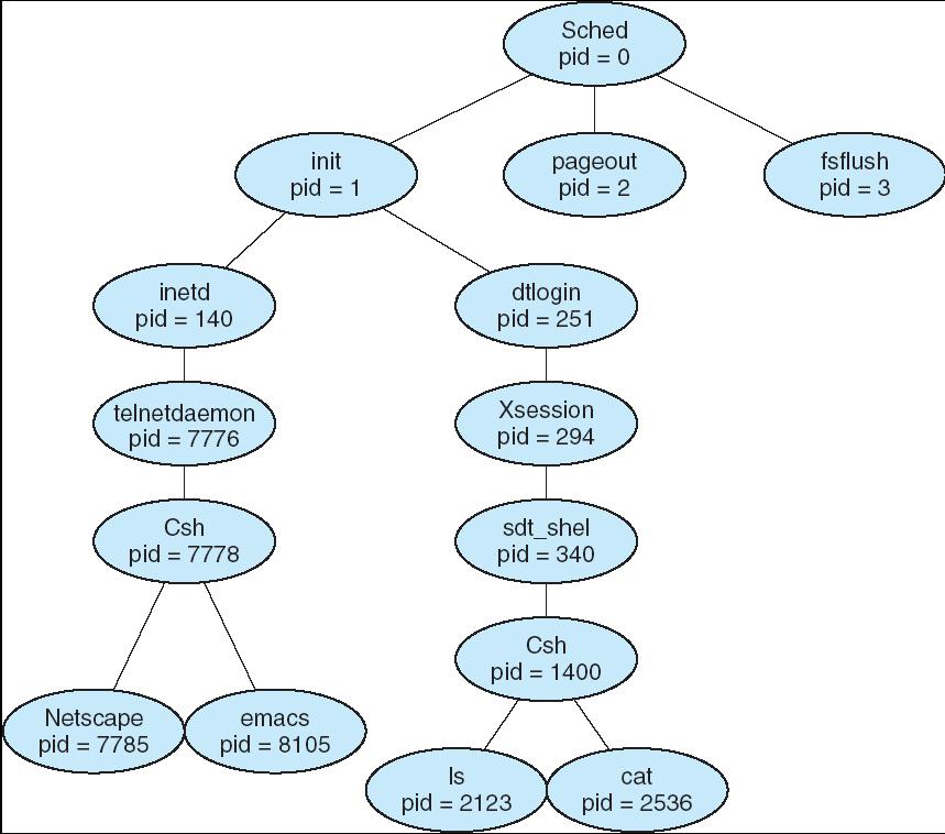 A tree of processes on a typical