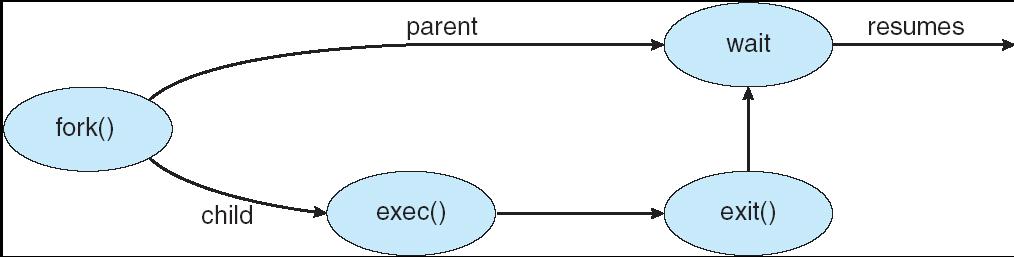 프로세스에대한오퍼레이션 (Operations on Processes)» 새프로세스의 2 모델 ( 자식의주소공간관점에서본 ) 1) 자식은부모의것을복제 : fork 2) 자식은자신의새프로그램을가짐 : fork+exec 군» Unix 의예 : fork + exec 프로그램 (forkexecl.c & forkexecv.