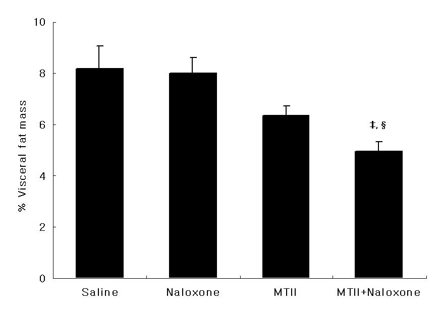 그러나비만쥐에서는날록손에의해서는내장지방량감소가유도되지않았으나 MTII와함께처치하였을때유의한차이는아니었으나 (P = 0.06) 추가적인감소를나타내는경향을보여주었다 (Fig. 3). 2. MTII 와날록손투여후시상하부식욕조절단백질발현변화 Real-time PCR 로분석한결과에따르면, 정상대조쥐에서 Fig. 3. Effects of MTII and/or naloxone on percent visceral fat mass in SD () and OLETF () rats.