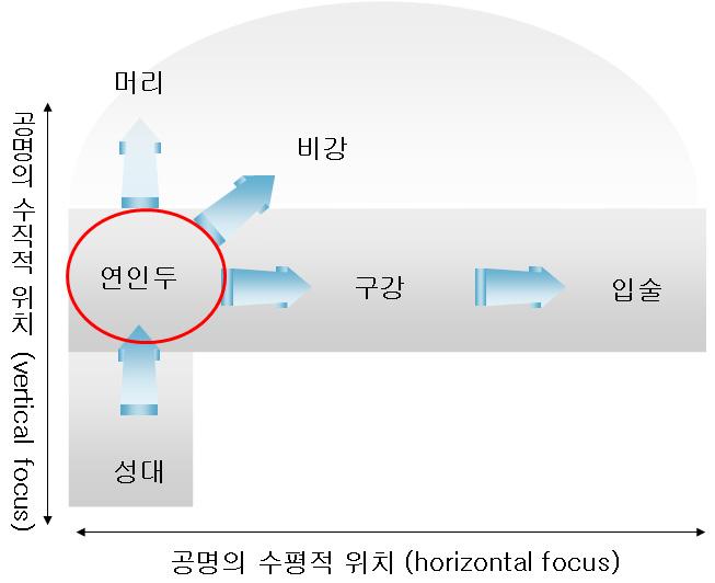 그림 1. 공명기관의배치. ( 그림 1) 에 제시된 것처럼 구강과비강으로 나누어지는지점에 연인두가 위치 하며, 연구개가 후상방으로 거상되어 비강 통로를 막으면 연인두 밸브 (velopharyngeal valve) 는 닫히고, 성대를 통해 나오는 기류와 음향 에너지는 구 강으로 나가게 되어 구강 공명을 이룬다.