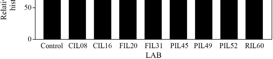 Balcázar 등 (2008) 은무지개송어의표피와내장으로부터분리한유산균 (L. lactis, L. plantarum, L. fermentum) 들은생선내장점막상피세포에약 11.6 17.4% 의높은부착능을보였고, ph 2.5에서 1.5시간노출되었을때에도생존하였으며, 고농도의담즙하에서도강한저항성을나타내었다고하였다.