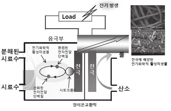 미생물연료전지형생물감시센서구조 전기화학적활성미생물및발광박테리아를이용한유해물질의독성평 이중전기화학적활성미생물은국내상당히많은곳 (90여곳) 에설치되어있으나, 물벼룩등과달리물질별독성데이터등이매우부족하며, 발광박테리아의경우독일및네덜란드등국제적으로다수설치되어있지만국내에설치되어있지않아이들에대한검토가필요한것으로판단되었다.