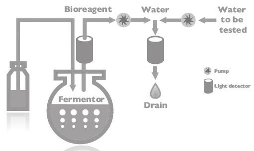 2.1.2 발광박테리아 발광박테리아균주는 Vibrio fischeri 의동결건조된형태인 TOXmini reagents (MicroLAN, Part No 02TCB00304-B) 를구매하여사용하였다. 그림 4.