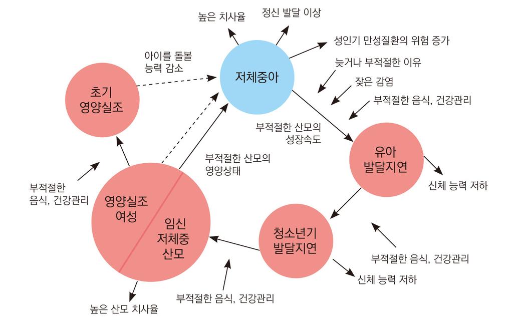 48 북한영유아및아동지원사업네트워크구조와발전방안 : 사회연결망분석을활용하여 이루어진다는점에서모성의영양상태는태아와영유아, 그리고아동의 영양및건강상태에막대한영향을주게된다 ( 이철수외, 2017, p. 164). 그림 2-3 산모및영유아시기의영양부족의영향 자료 : 이철수외. (2017). 통일의인구 보건 복지통합쟁점과과제. p. 164 에서재인용.