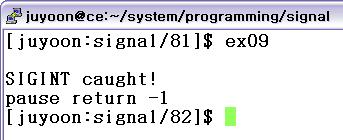 pause 실행결과 : 프로그램실행도중 ^C 로시그널을보낸다.
