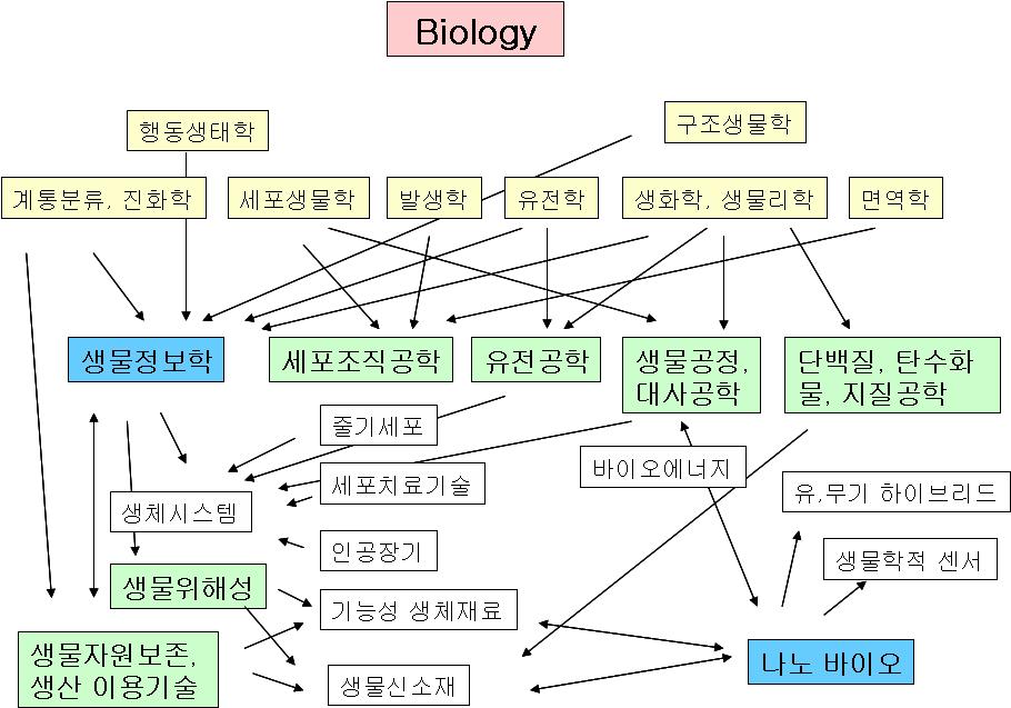 2 장 _ 융합연구의이해 27 [ 그림 2-4] 생물학분류체계도 5) 생물정보학의예로부터융합연구의일반적인형성과정을다음과같이요약할수있다. 융합연구의시작은어느한분야에서다른지식의필요성에의해내생적으로발생한다. 연구의수행은한분야의전문가가필요한외부지식을익힘으로써이루어지며융합연구의전문인력은등장하지않는다.