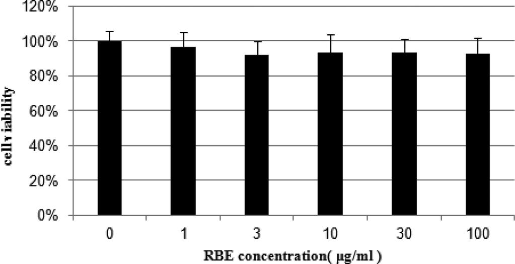 328 Kor. J. Pharmacogn. 가능성이확인된미강의 EtOAc fraction 인 RBE 의세포독성을평가하기위하여 C2C12 를이용하여 CCK-8 assay 를한결과전농도에서 92% 이상의세포가생존한것으로보아실험에사용한최고농도인 100 µg/ml 농도까지는세포독성이없는것으로확인하였다 (Fig. 1).