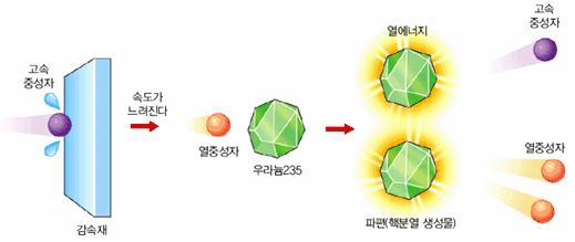 2. 원자로의종류 원자로안에는핵분열을일으키는연료와핵분열연쇄반응을도와주는감속재, 열을전달하는냉각재, 연쇄반응속도를제어하는제어봉등이들어있다. 원자로감속재, 중성자의속도조절 감속재는핵분열에의해생성되는고속중성자의속도를낮춰주는역할을하며, 물과흑연이쓰인다.