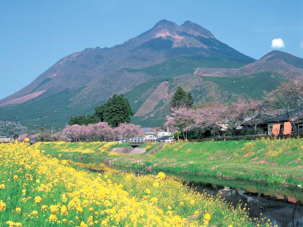 81516 ;7.7 Welcome to Yufu City! Located near the center of Oita Prefecture, Yufu City is nestled in the heart of mother nature, enjoying both the grandeur of Mt.