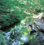 Nature Kurotake Oike M A-4 Located in the corner of Aso-Kuju National Park, Kurotake