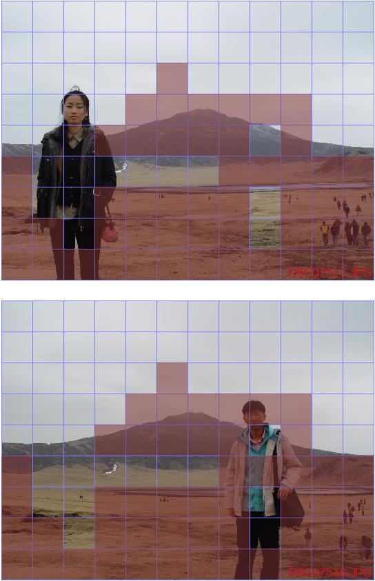 그림 5. 동일 배경으로 다른 객체가 촬영 된 간단한 예. 배경부분을 중심으로 매칭이 이루어졌다. 그림 7. 카메라의 촬영 위치를 달리하여 동일 객체의 보이는 각도가 달라진 경우의 블록 매칭 결과.