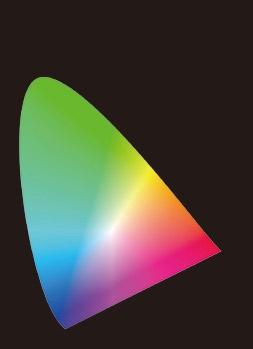 ColorNavigator 와캘리브레이션장치 ( 별도판매 ) Adobe RGB 릇사용하는동안사용자의디지텁사진에대한경험이더욱더돋보이게합니다. ColorNavigator 릇이용한전문자수준의캘리브레이션을빠르게시작할수있습니다. 24.1 " 모델로 A3 크기의이미지와 Tool Palette 디스플레이를보여줍니다.