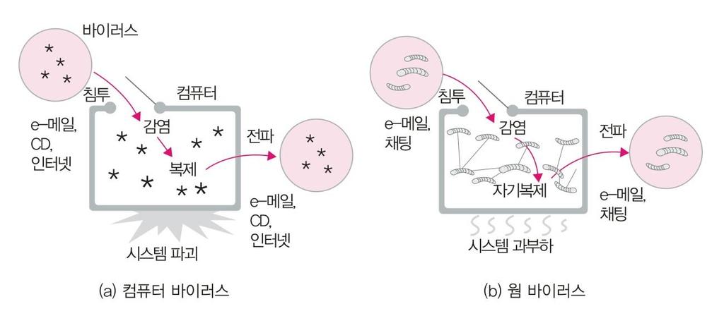 컴퓨터위협요소와백신 웜바이러스 - 웹과인터넷활용및실습