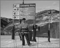 II From 1988 to 1998 : 7430 cases Vail Colorado ski resorts 손상부위 수근관절부 (wrist) : 22% 초보자, 여자 어린사람들에서호발 수부 (hand), 주관절 (elbow), 견관절
