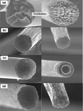 Figure 5. 580 공기중노출시탄소섬유의중량감소 (TGA) 및산화가일어난탄소섬유의 SEM 사진 (P15: 핏치계, M40 : PAN계, T1000/T300: PAN계탄소섬유 ). (a) (b) (C) Figure 6.