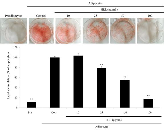 Each bar represents the mean ± SEM (n = 3). * p < 0.05, ** p < 0.01 compared to control cells. 물의경우에는 100 μg / ml농도에서 89.3% 의생존율을나타내었으며 (Lee et al.