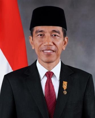 4. 인도네시아정치 행정부 입법부 대통령 Joko