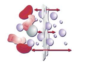 molecules, e.g.