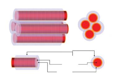 proteins e.g.