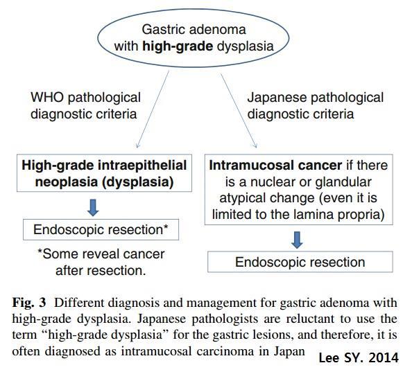 patients with gastric adenomas, and some of them