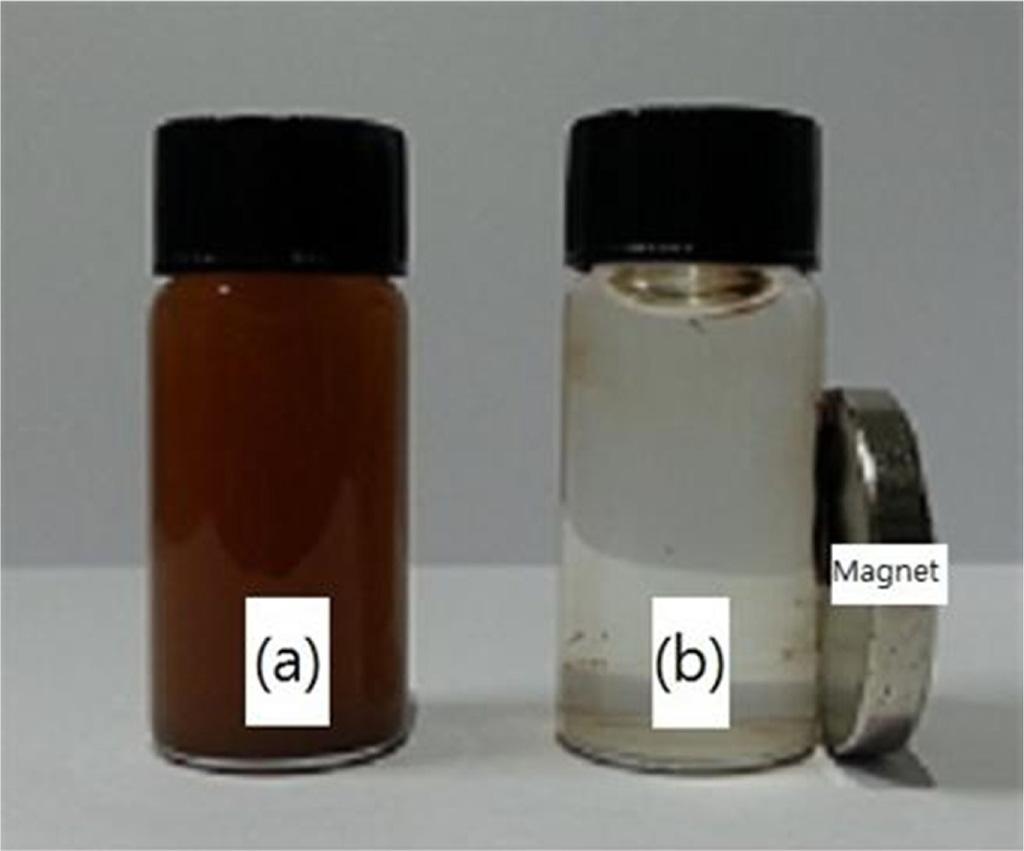 Magnetic Core-shell ZnFe 2O 4@ZnO@SiO 2 Nanoparticle 의합성과성질에관한연구 403 Figure 8.