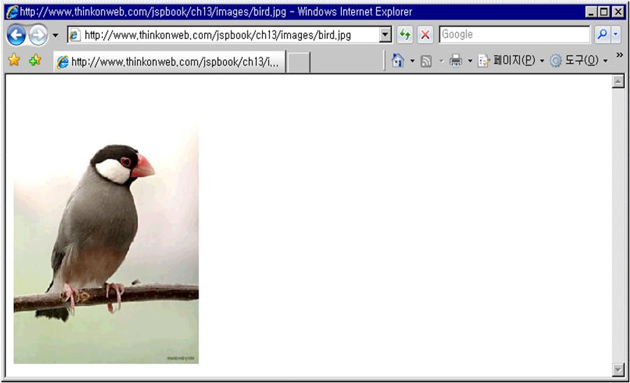 이미지합성하기 1) 다음 URL 을입력하여웹상에이미지가있다는것을확인 2. 동적이미지출력 http://www.thinkonweb.com/jspbook/ch14/images/bird.jpg 2) bird.