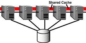 Clustering Types Shared disk Runs real applications DB2 Shard Cache Fusion Oracle 9i RAC Shared nothing Only runs