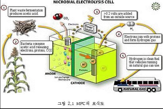 Mediator 로는 thionine, neutral red, azure A, Fe(ΙΙΙ)EDTA, Neutral red, Methylene blue 등이이용되는데일부 mediator 는독성이있고연속반응조투여시경제적인측면이고려되어야한다.