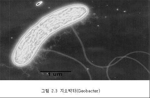 최근에 geobacter 의게놈을밝혀적절한컴퓨터모델을설정해 geobacter 안에서일어나는 mechanism 을밝히려는연구가지속되고있다. 1. 1. 2.