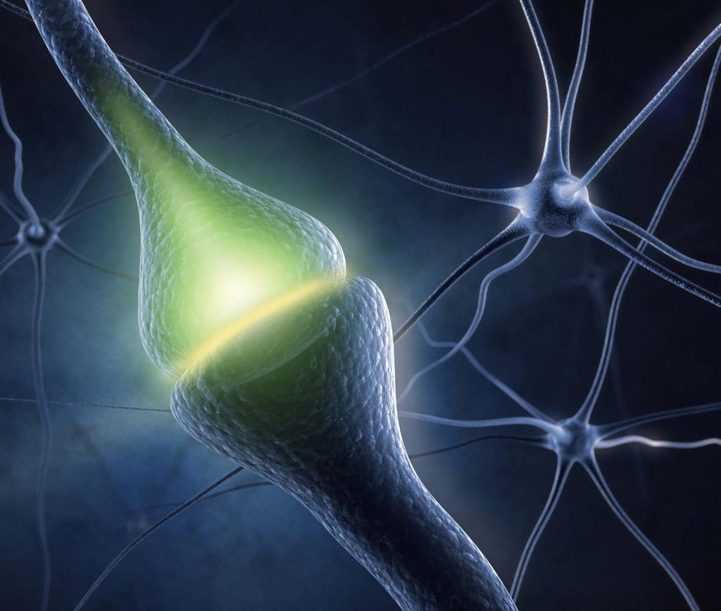 mental processes related to memory, speech, perception and functional connection More focused magnetic field from figure of 8 shaped transducer passes unimpeded