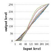 Given image 1 TMFs to increase contrast Make images