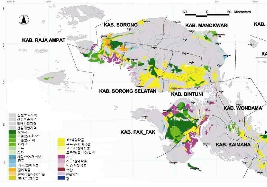 [ 그림 1] 서부파푸아주주요작물및재배지역 카카오의경우도농민농장개발프로그램에의해개발되어졌으며소롱시 (Sorong) 를제외한모던군지역에농민농장이개발되었음. 서부파푸아주의전체카카오재배면적은 6,200헥타르이고카카오재배면적이가장넓은지역은마녹와리군 (Kab.) 이며이지역에만사기업카카오농장이존재하며규모는 1,668헥타르임. 카카오단위헥타르당연간수확량은 0.